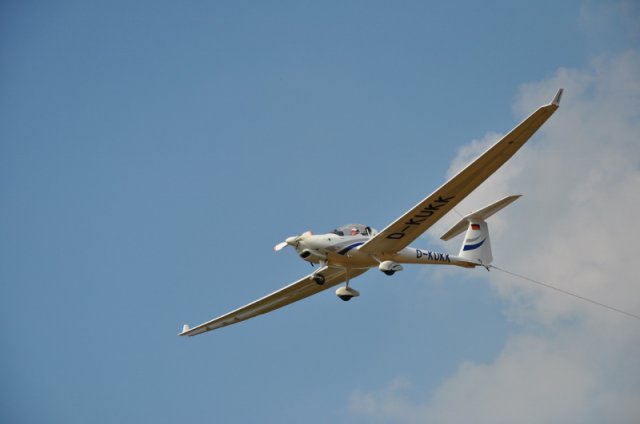 DSC_5555 (800x531)